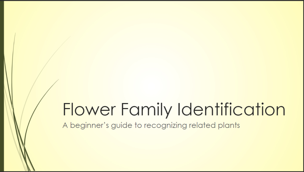 Title slide of the Flower Family Identification module.